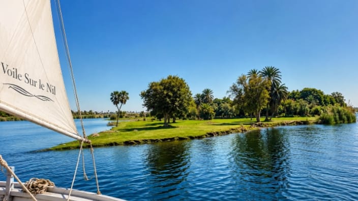 IMG-20260728-WA0007